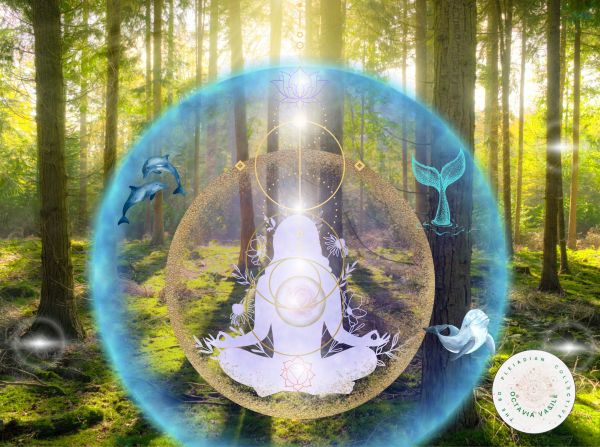 Explore 9D Pleiadian Collective and Earth's Hidden Portals