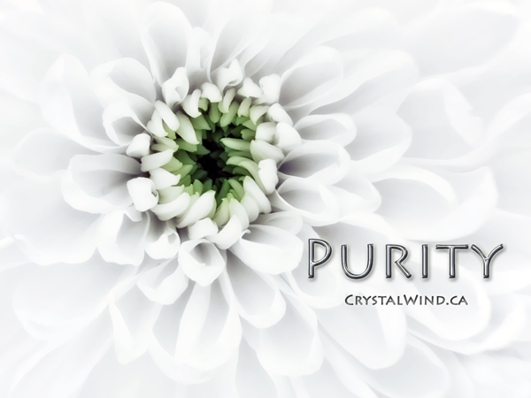 A Call to Purity