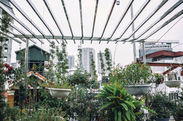 Great Tips To Turn Your Balcony Into A Lush Garden