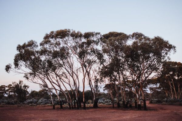 The Most Important Biosphere Reserves in the World