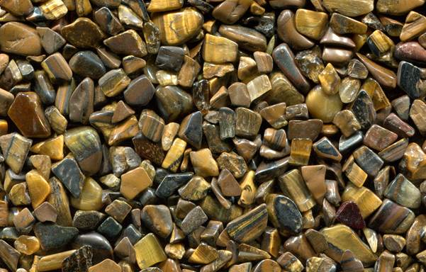 Tiger’s eye Tiger’s eye