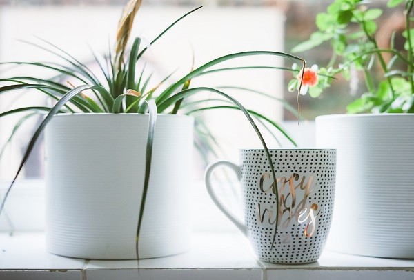 Treat the natural tones as if they were your guests Treat the natural tones as if they were your guests