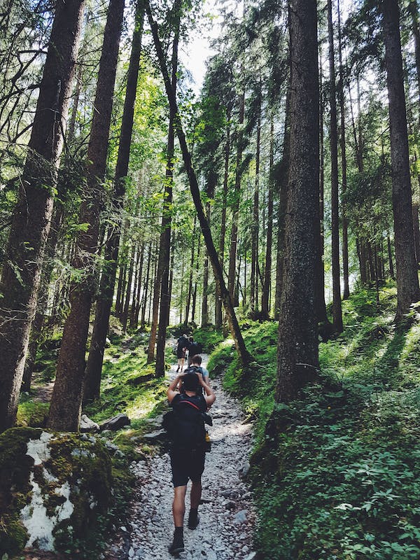 Mind and Body: What Hiking Does for Your Physical and Mental Health