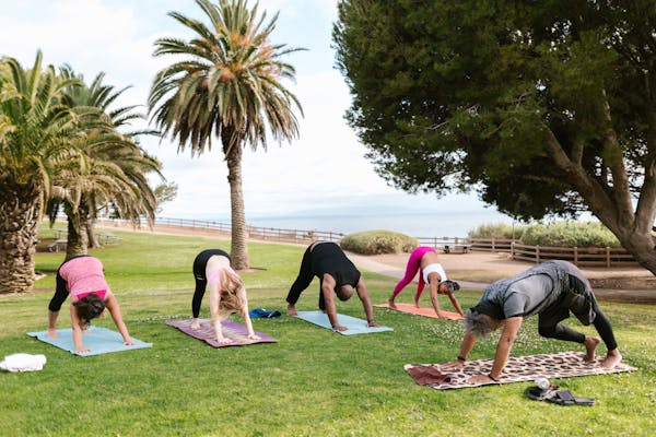 Unveiling the Profound Transformation: A Journey through Yoga Teacher Training Unveiling the Profound Transformation: A Journey through Yoga Teacher Training