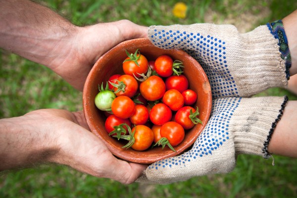 The Many Ways Gardening Can Improve Your Life