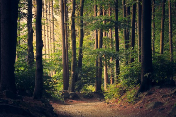 Spending Time Outdoors to Connect With Nature and Heal Your Inner Self Spending Time Outdoors to Connect With Nature and Heal Your Inner Self