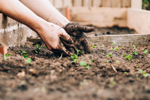 Connecting to Mother Earth Through Gardening Connecting to Mother Earth Through Gardening