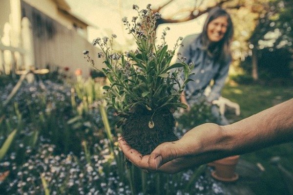 The Link Between Self-Sufficiency and Increased Happiness