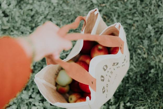 Nurturing healthy habits