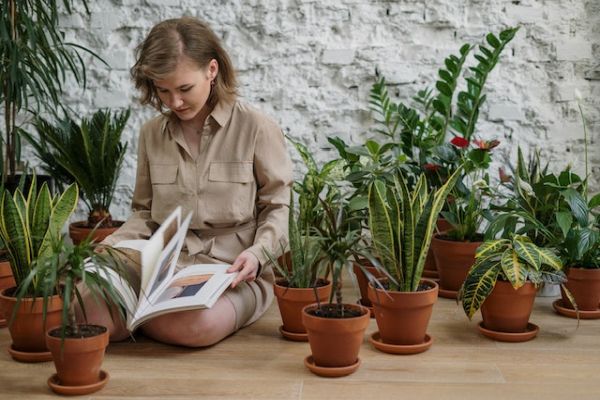 3 Ways Plants Can Enhance Life And Improve Your Mental Health