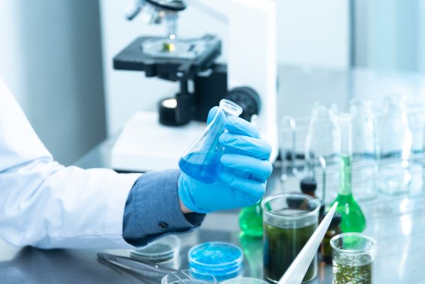 From Lab to Life: The Role of Preclinical Research Services