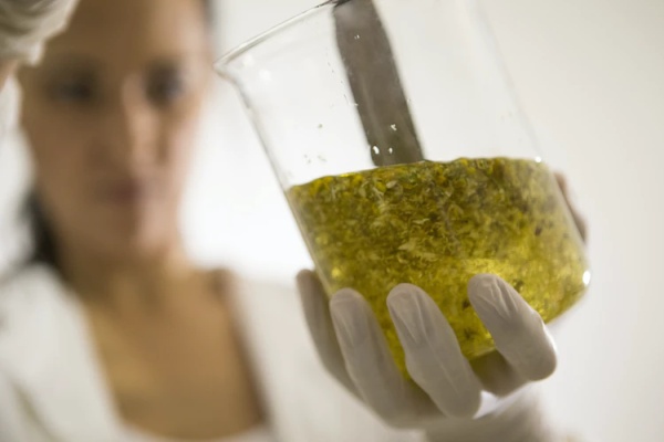 Drug Testing: How It Works & What's The Procedure? Drug Testing: How It Works & What's The Procedure?