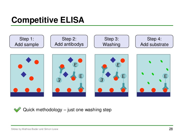 Choosing the Right ELISA Kit for Your Lab: 5 Crucial Things to Keep in Mind Choosing the Right ELISA Kit for Your Lab: 5 Crucial Things to Keep in Mind