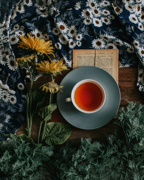 5 Ways Drinking Tea Can Improve Your Mental Health