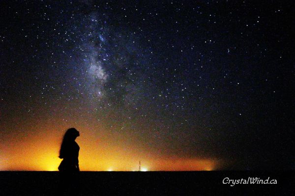 How To Initiate Contact With Galactic Races How To Initiate Contact With Galactic Races