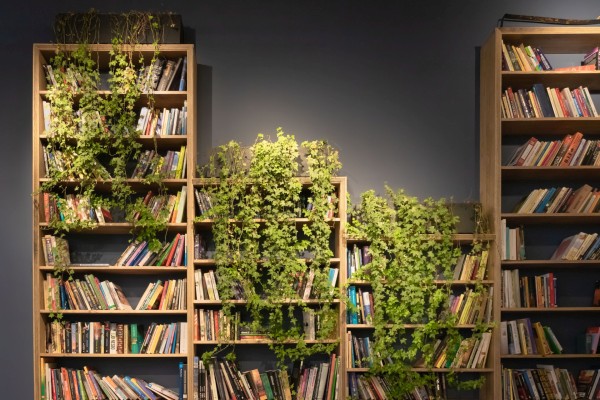 How To Bring Nature In Your Home And The Serenity That Comes With It How To Bring Nature In Your Home And The Serenity That Comes With It