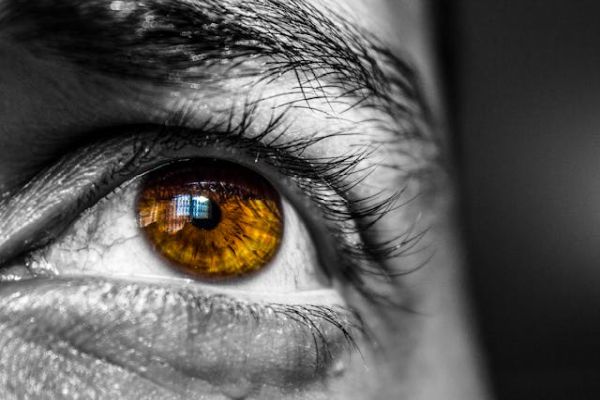 10 Tips for Maintaining Your Vision Health 10 Tips for Maintaining Your Vision Health