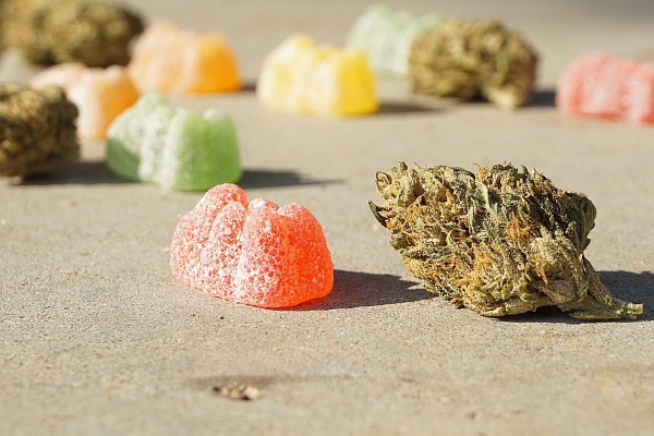 Edibles: Everything You Need to Know Edibles: Everything You Need to Know
