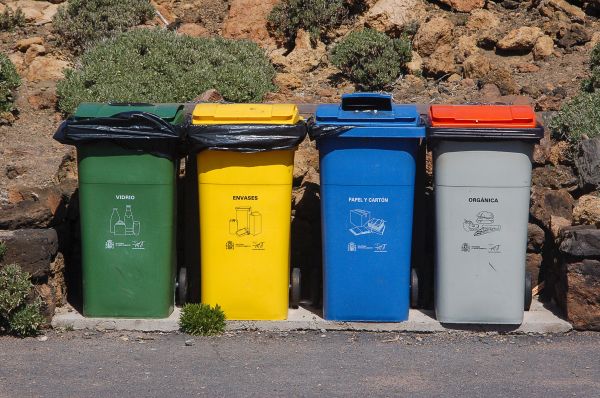 Top Reasons Why You Should Consider Skip Bin Hire for Your Next Clean-Up Project