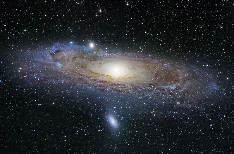Andromeda andromeda