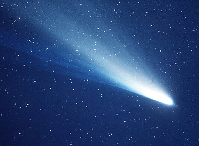 halleys comet