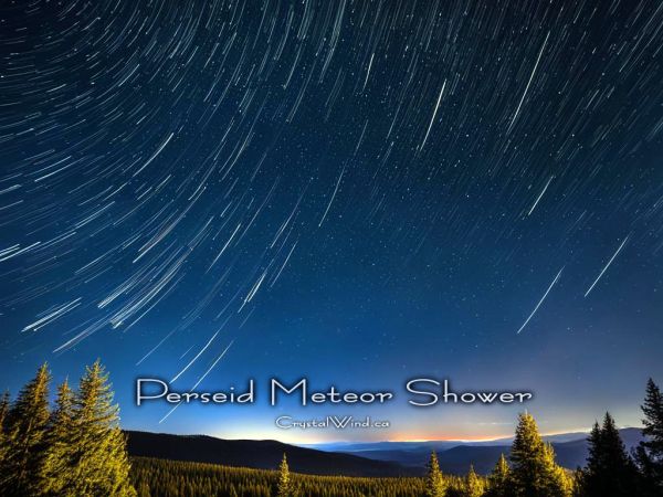 Perseid Meteor Shower 2024: Stargazing Spectacle Perseid Meteor Shower 2024: Stargazing Spectacle