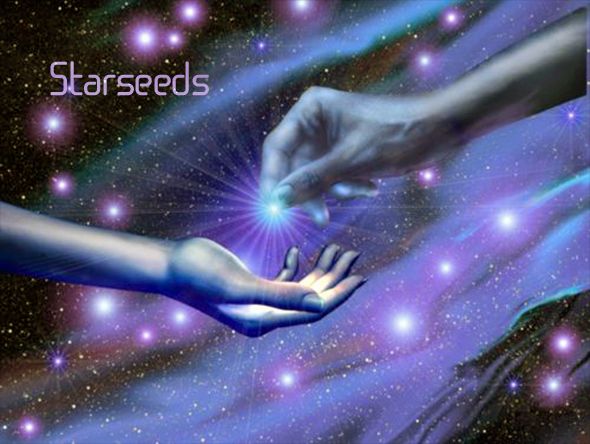Starseeds starseeds