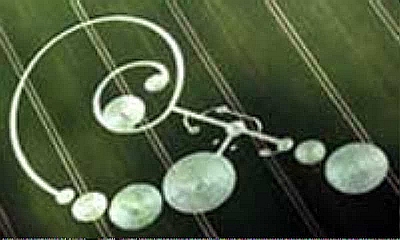 Crop Circle Crop Circle