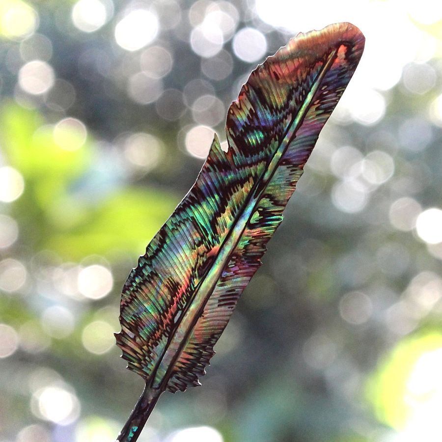 feather-carved-from-abalone-shell