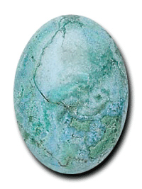 Chrysocolla Cabochon