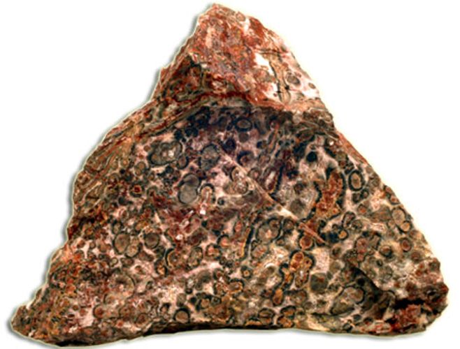 Leopard Jasper leopardskin-jasper