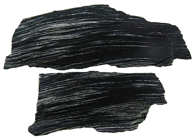 Zebra Jasper - Arizona zebra_jasper_arizona