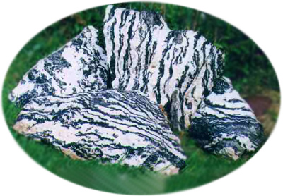 Zebra Rock Slabs zebra_rock_slabs