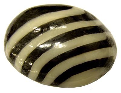 Banded Zebra Stone zebra_stone