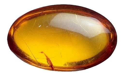 Amber Gem