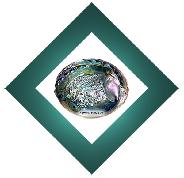 Abalone Shell