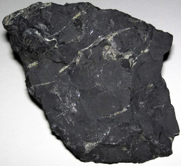 Easy DIY Shungite Water - Rich in Antioxidants! Easy DIY Shungite Water - Rich in Antioxidants!