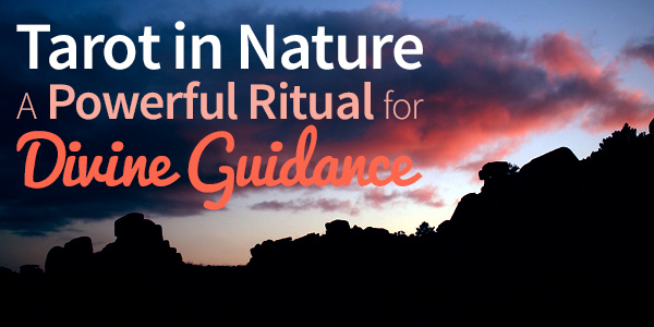 Tarot in nature tarot-in-nature