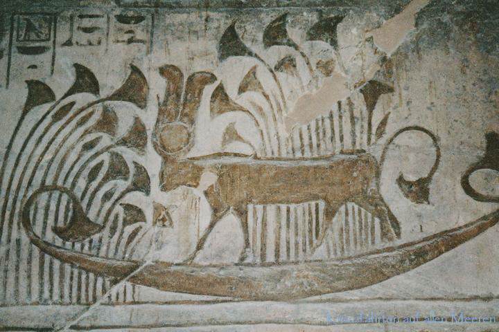 Hathor on Boat