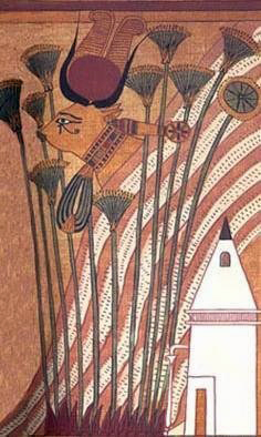 Hathor - Sacred Eye in Papyrus