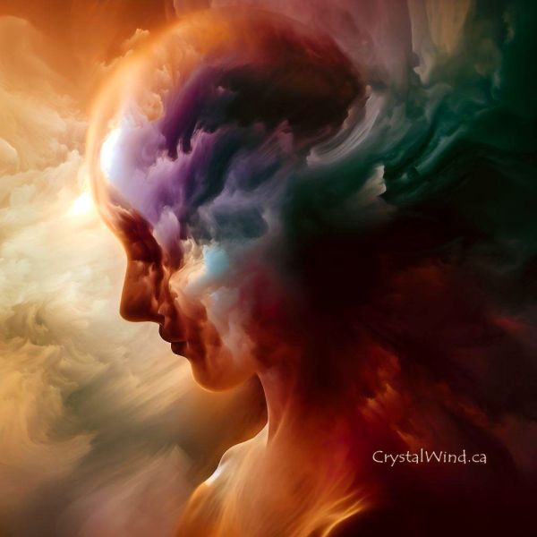 Using Our Emotions for Transformation Using Our Emotions for Transformation
