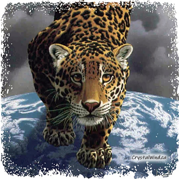 Spirit of Jaguar