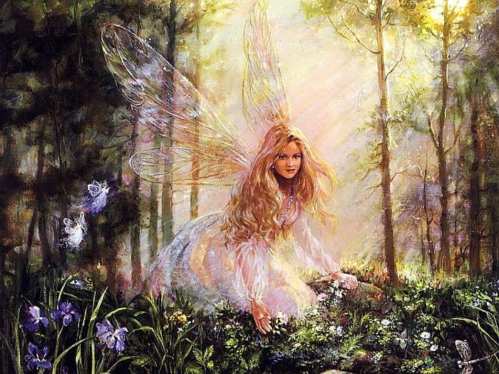 fairy fairies