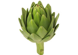 Artichoke artichoke