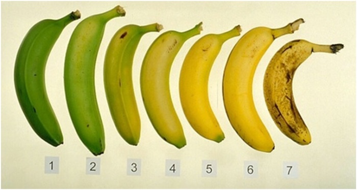 Bananas