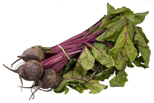 beets-bundle