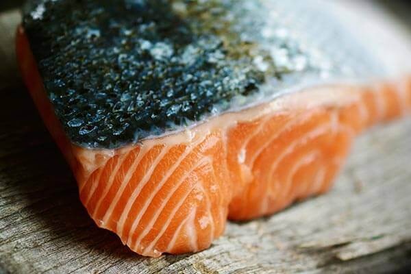 farmed salmon