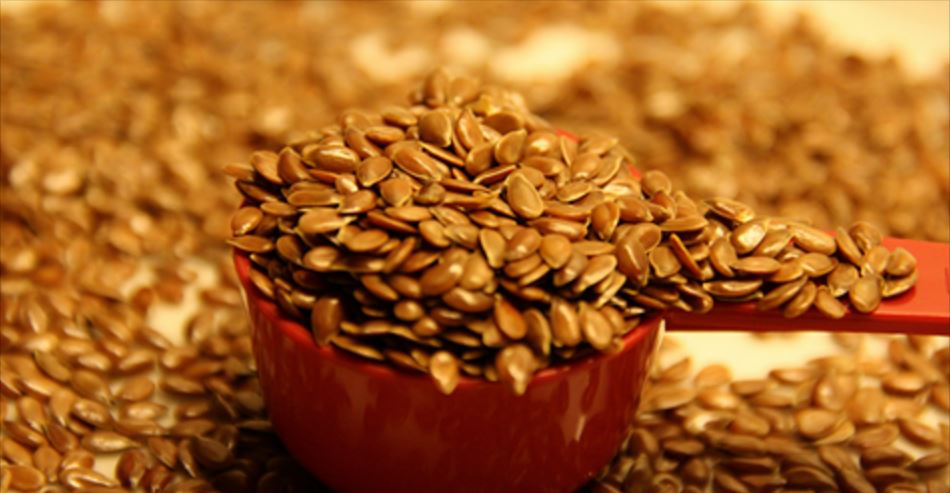 The Truth About Flaxseed flax
