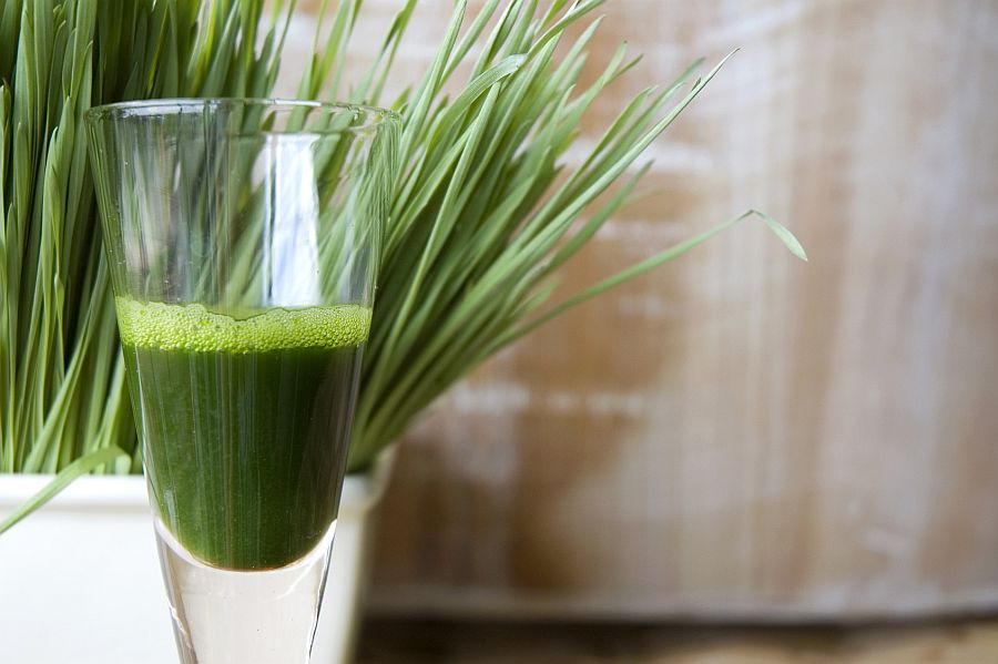 glass-of-wheatgrass