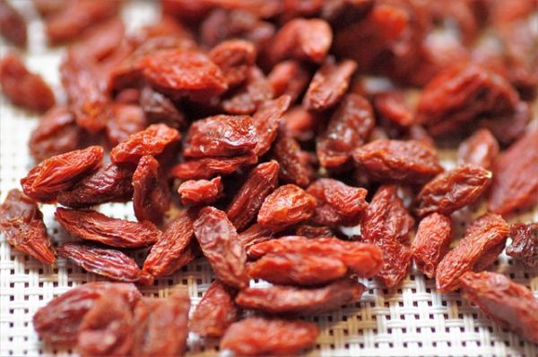 What are Goji Berries?